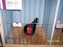 100_2254~0.jpg