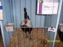100_2258~0.jpg