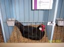 100_2260~0.jpg