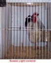 100_2783.jpg