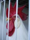 normal_rosewood_show_180709__22_.jpg