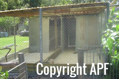 normal_new_shed_outside_runs_reduced~0.jpg
