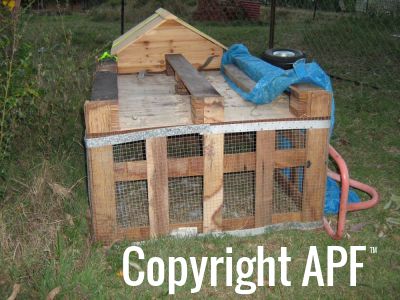 normal_newchickcarecentre160908.jpg