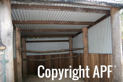 normal_peacock_shelter_after.jpg