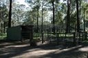 normal_peacock_enclosure_finished.jpg