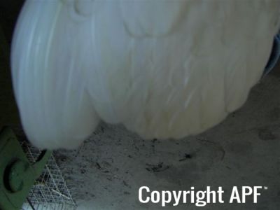 online_poultry_show_3_110.jpg
