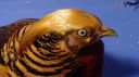 dsc03389.jpg