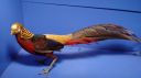 dsc03399.jpg