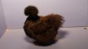 dsc03415.jpg