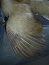 online_poultry_show_1_009.jpg