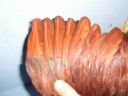online_poultry_show_3_063.jpg